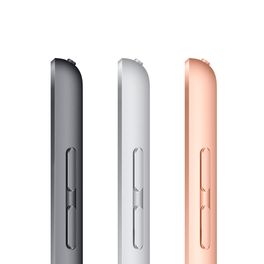 iPad-102--8ª-geracao-Wi-Fi---Cellular-128GB---Cinza-espacial
