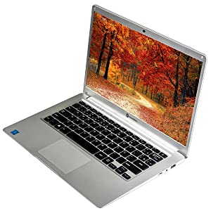 Notebook GT Silver Intel® Dual-Core, 4GB, SSD 64GB, 14