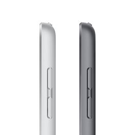 iPad-9ª-Geracao-Apple-102--Wi-Fi---Celular-256GB---Prata