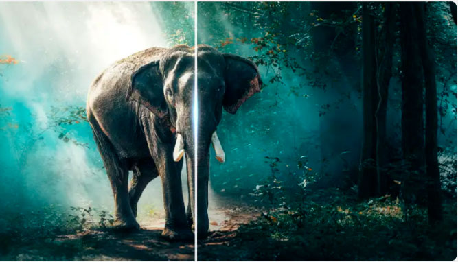 Smart TV 55 Semp TCL LED 4K Ultra HD 55S62 Google TV, HDMI, Google Assistente